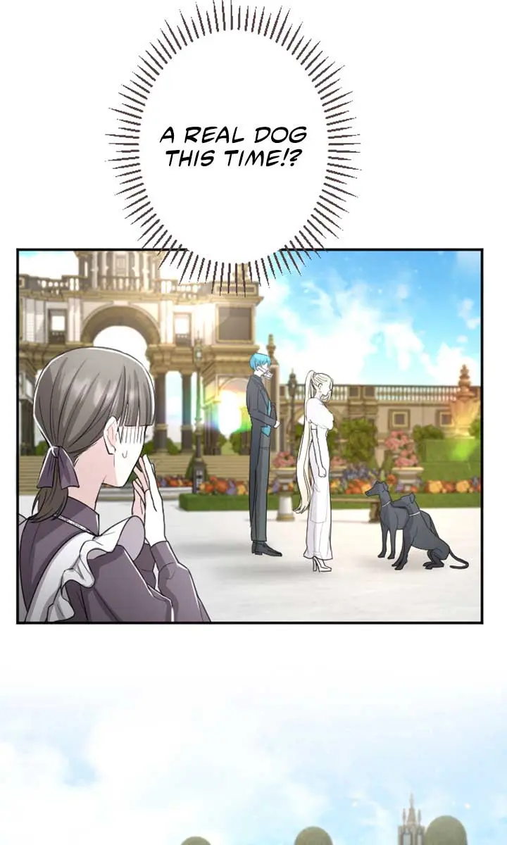 I Will Fall with the Emperor Chapter 33 Page 17