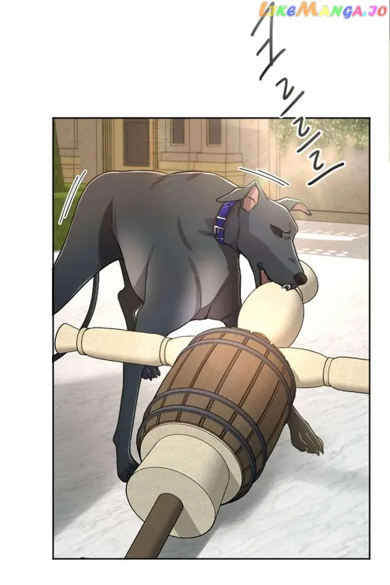 I Will Fall with the Emperor Chapter 74 Page 17