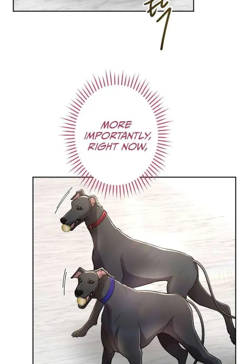 I Will Fall with the Emperor Chapter 74 Page 42