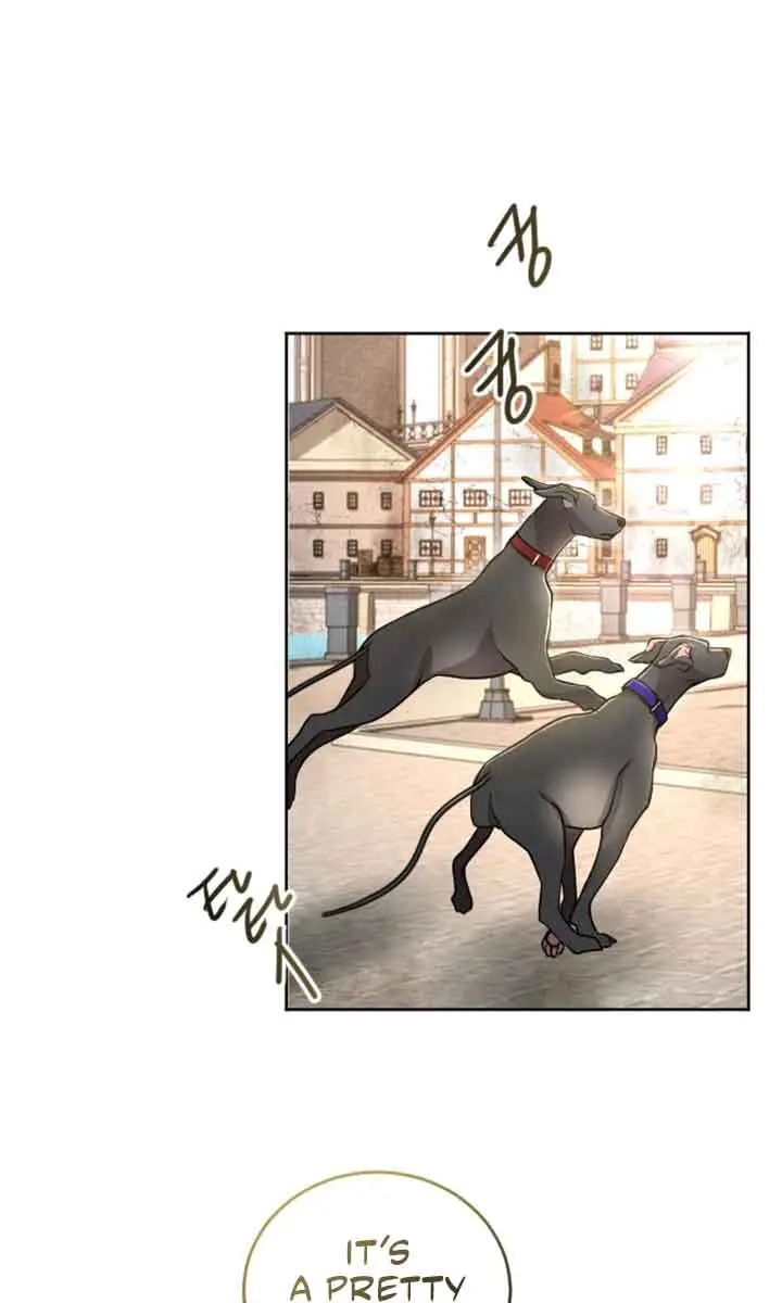 I Will Fall with the Emperor Chapter 76 Page 37