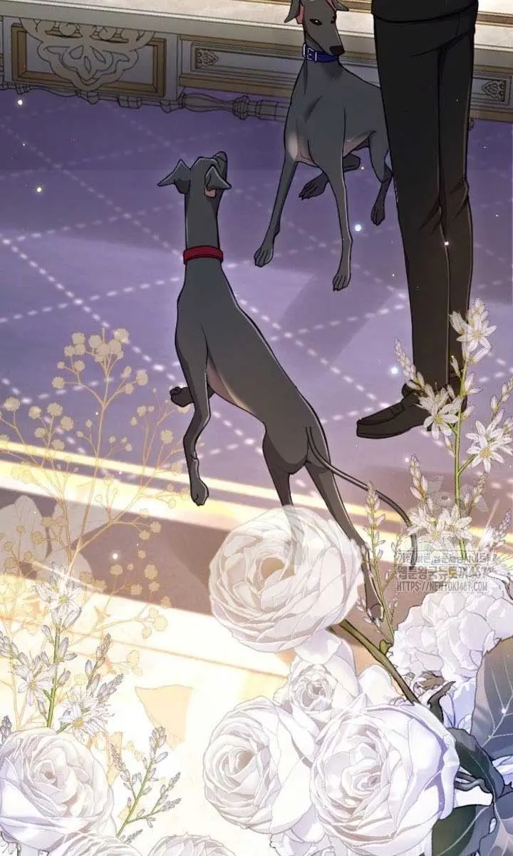 I Will Fall with the Emperor Chapter 125 Page 82