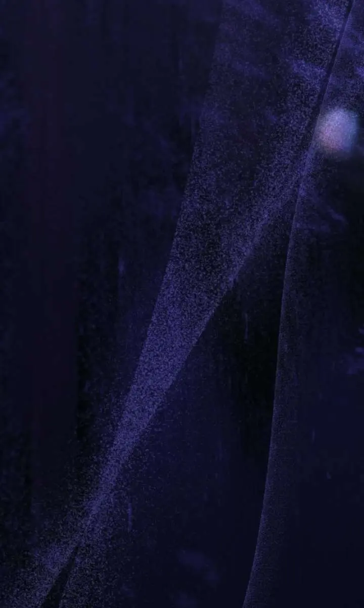 I Will Fall with the Emperor Chapter 150 Page 80