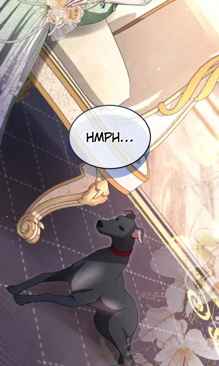 I Will Fall with the Emperor Chapter 155 Page 67