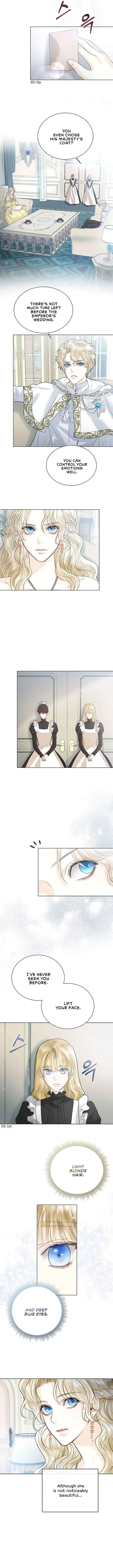 I Will Surrender My Position as the Empress Chapter 3 Page 10