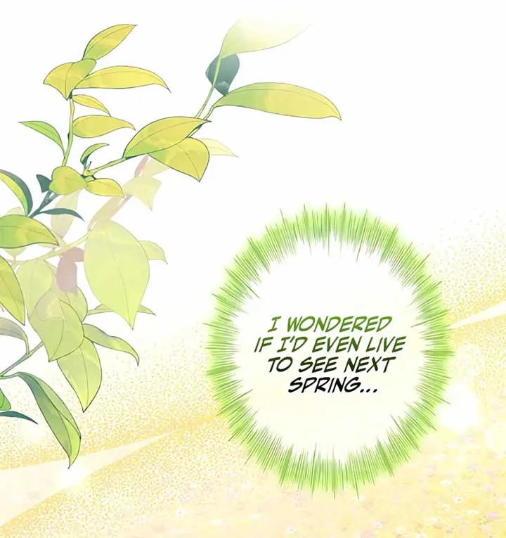 I Won't Regret My Second Life: The Happy Ending Comes After Revenge Chapter 2 Page 64