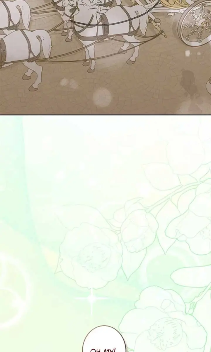 I Won't Regret My Second Life: The Happy Ending Comes After Revenge Chapter 14 Page 41