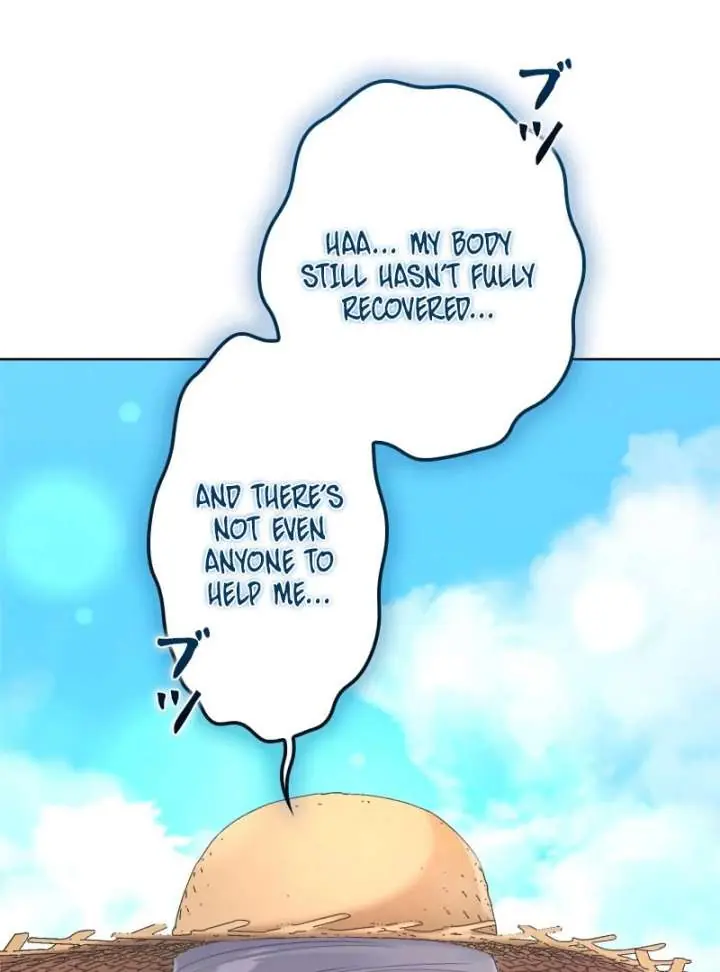 I Won't Regret My Second Life: The Happy Ending Comes After Revenge Chapter 25 Page 105