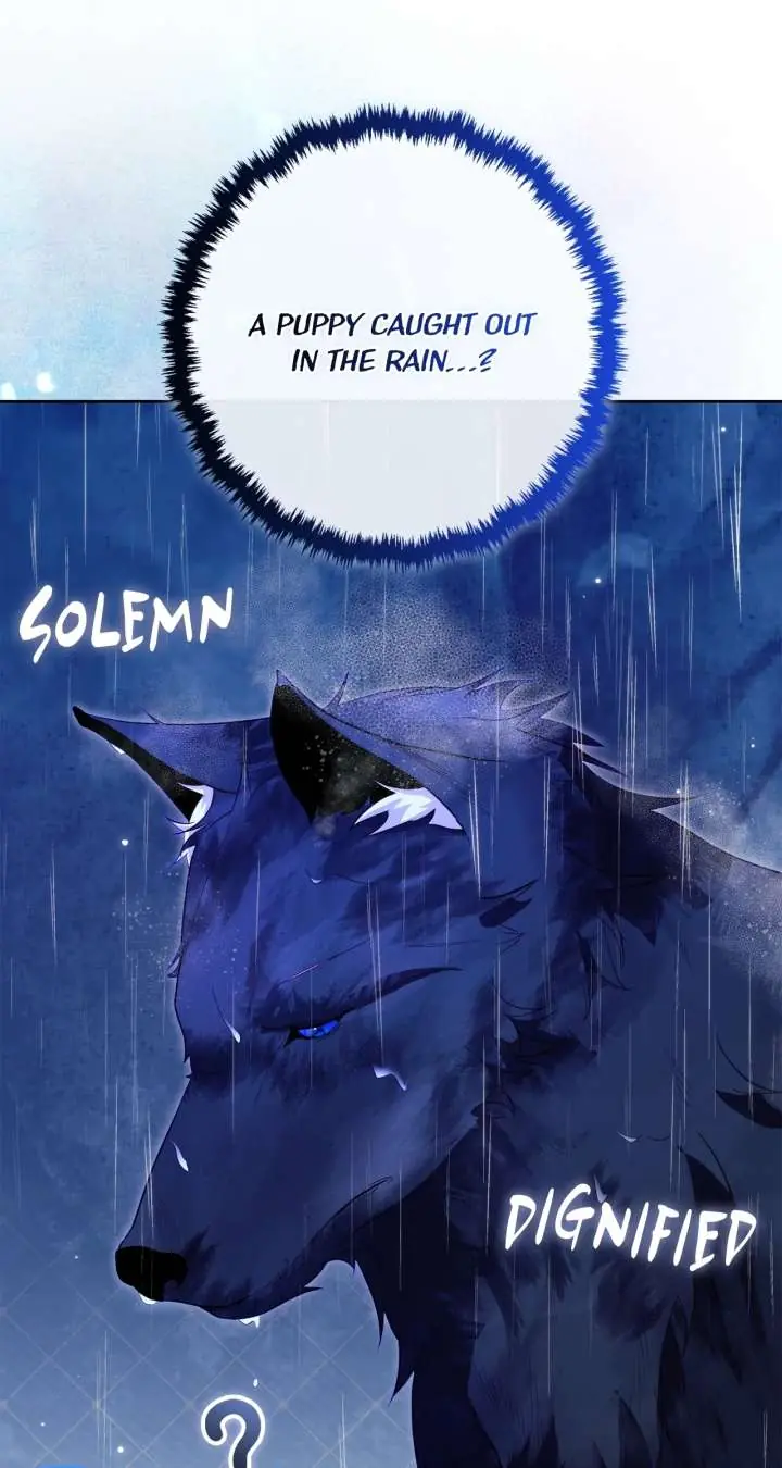 I Won't Regret My Second Life: The Happy Ending Comes After Revenge Chapter 36 Page 25