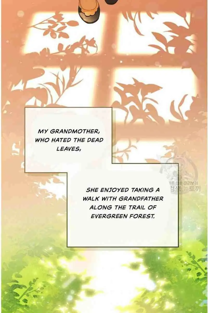 I'll Be the Matriarch in This Life Chapter 13 Page 37