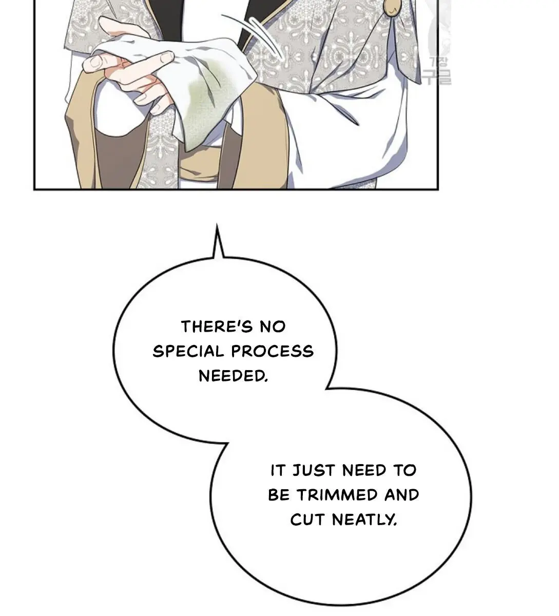 I'll Be the Matriarch in This Life Chapter 19 Page 99