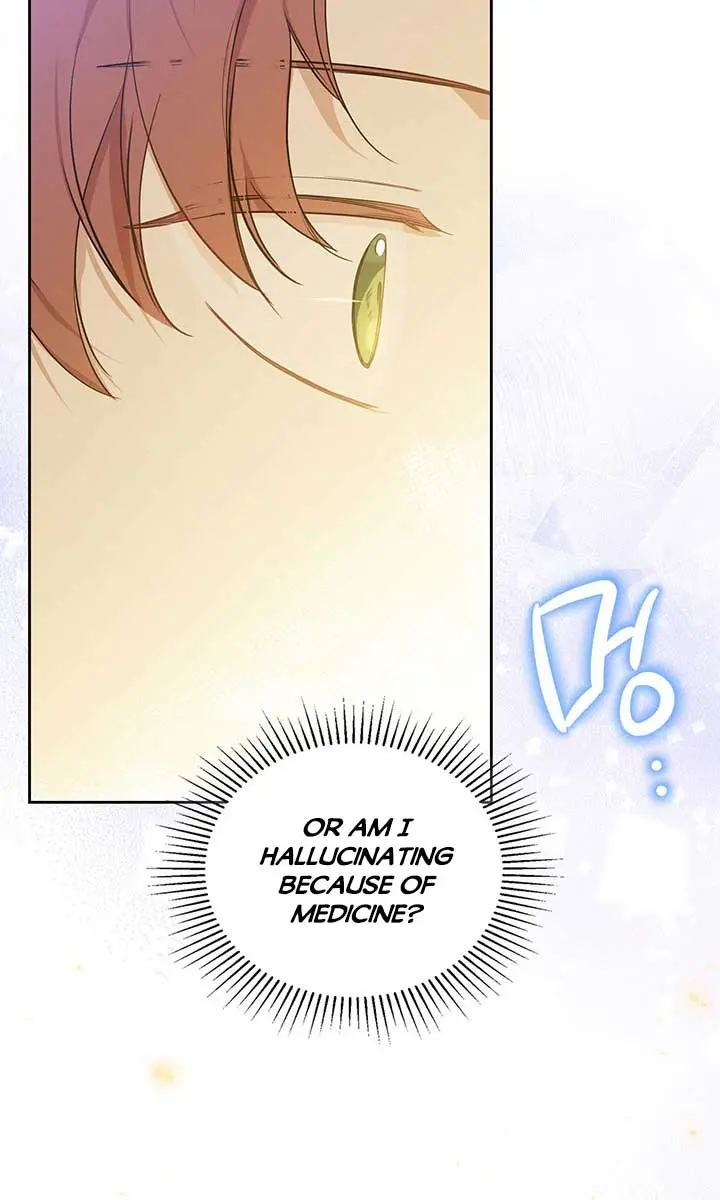 I'll Be the Matriarch in This Life Chapter 68 Page 45