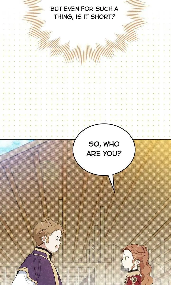 I'll Be the Matriarch in This Life Chapter 97 Page 91