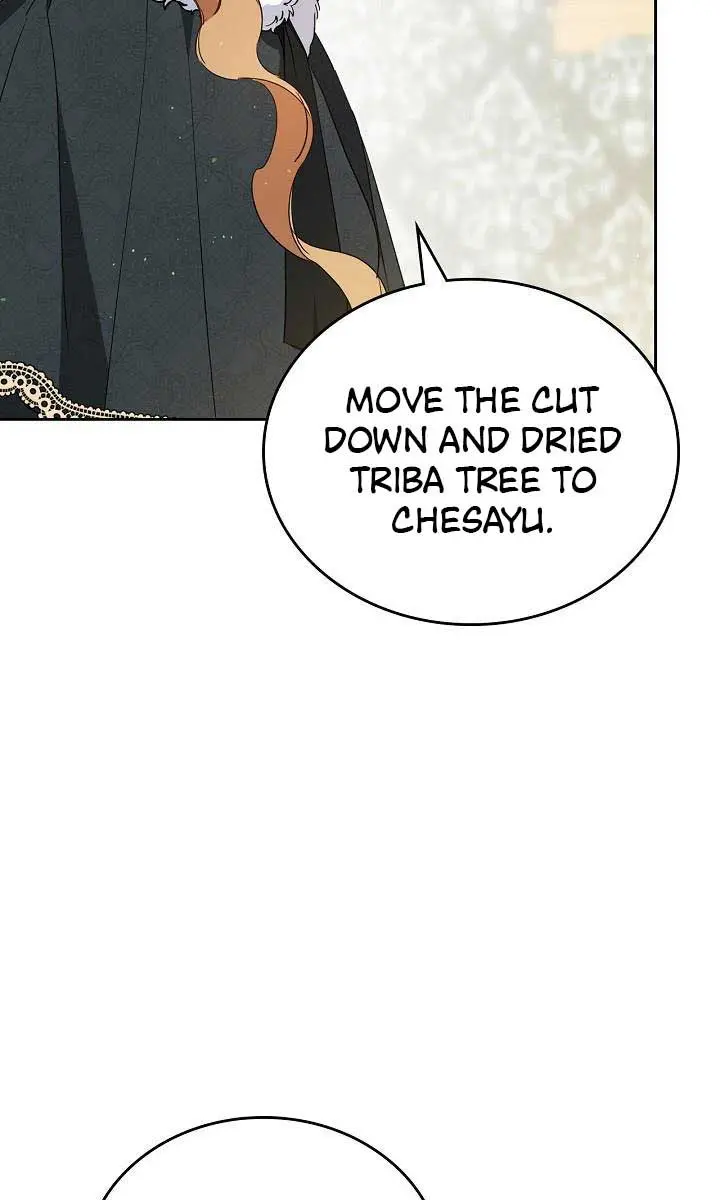 I'll Be the Matriarch in This Life Chapter 135 Page 26