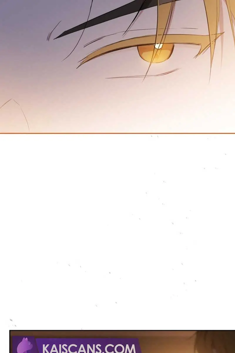 I'll Be the Matriarch in This Life Chapter 144 Page 148