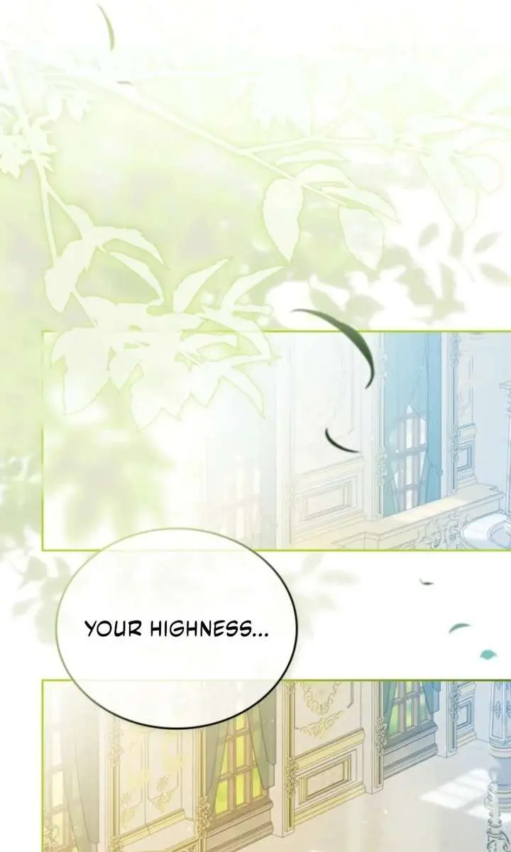 I'll Be the Matriarch in This Life Chapter 208 Page 2
