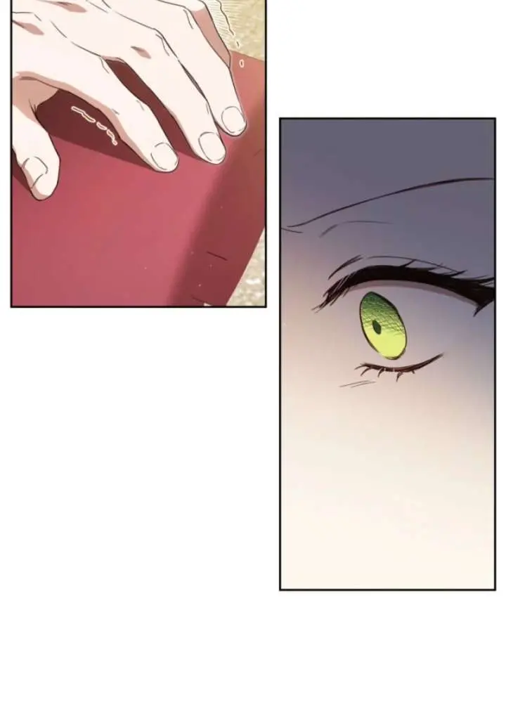 I'll Be the Matriarch in This Life Chapter 211 Page 20