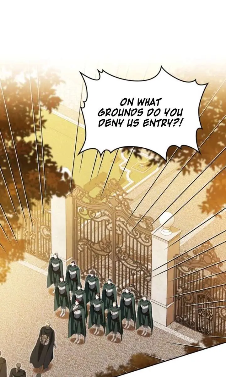 I'll Be the Matriarch in This Life Chapter 215 Page 95