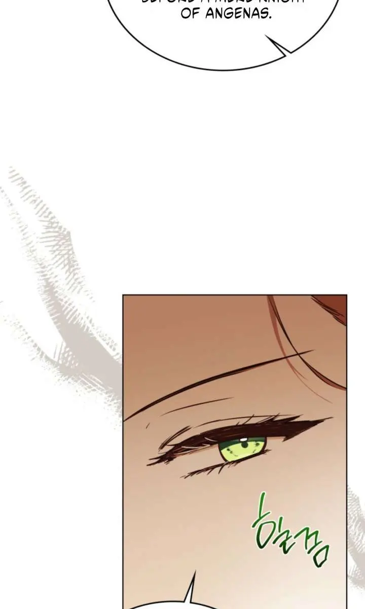 I'll Be the Matriarch in This Life Chapter 217 Page 64