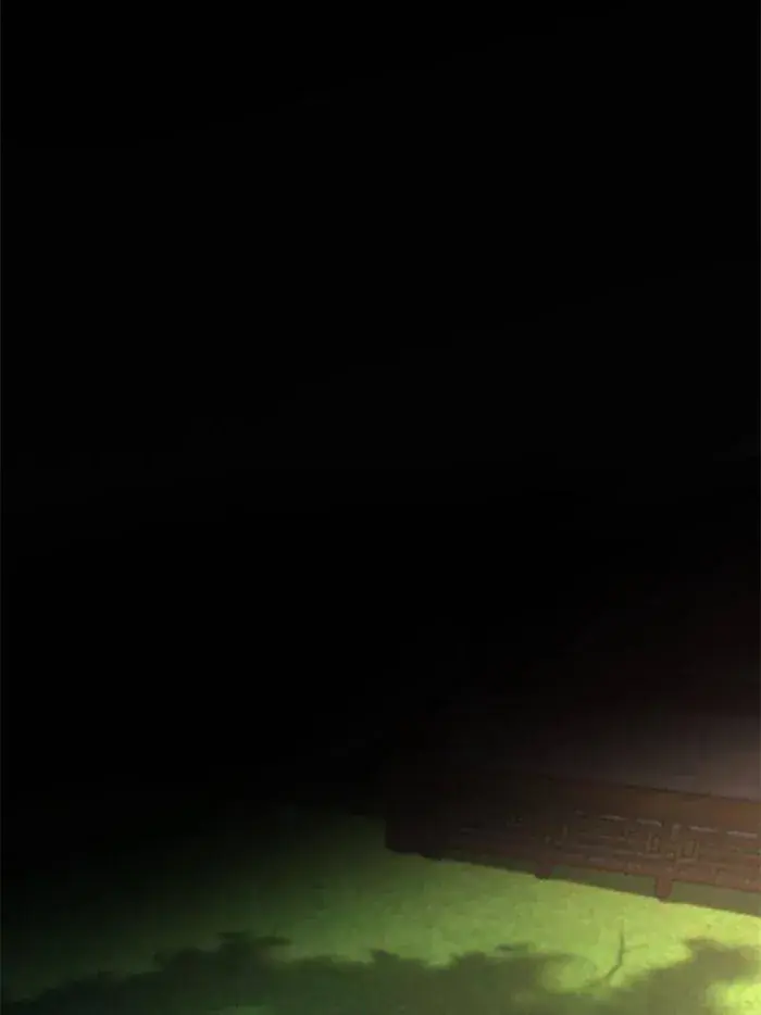 I'm an Evil God Chapter 366 Page 55