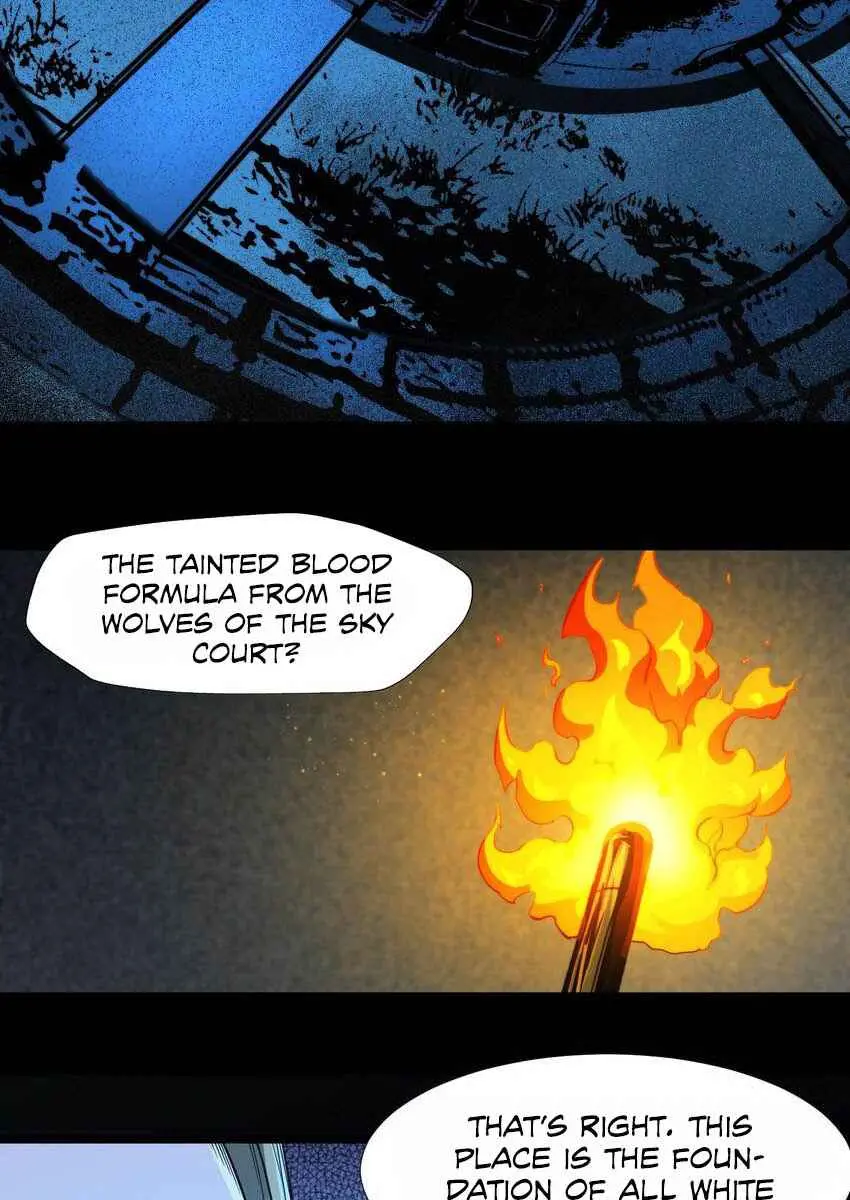I'm Really Not the Demon God's Lackey Chapter 45 Page 13