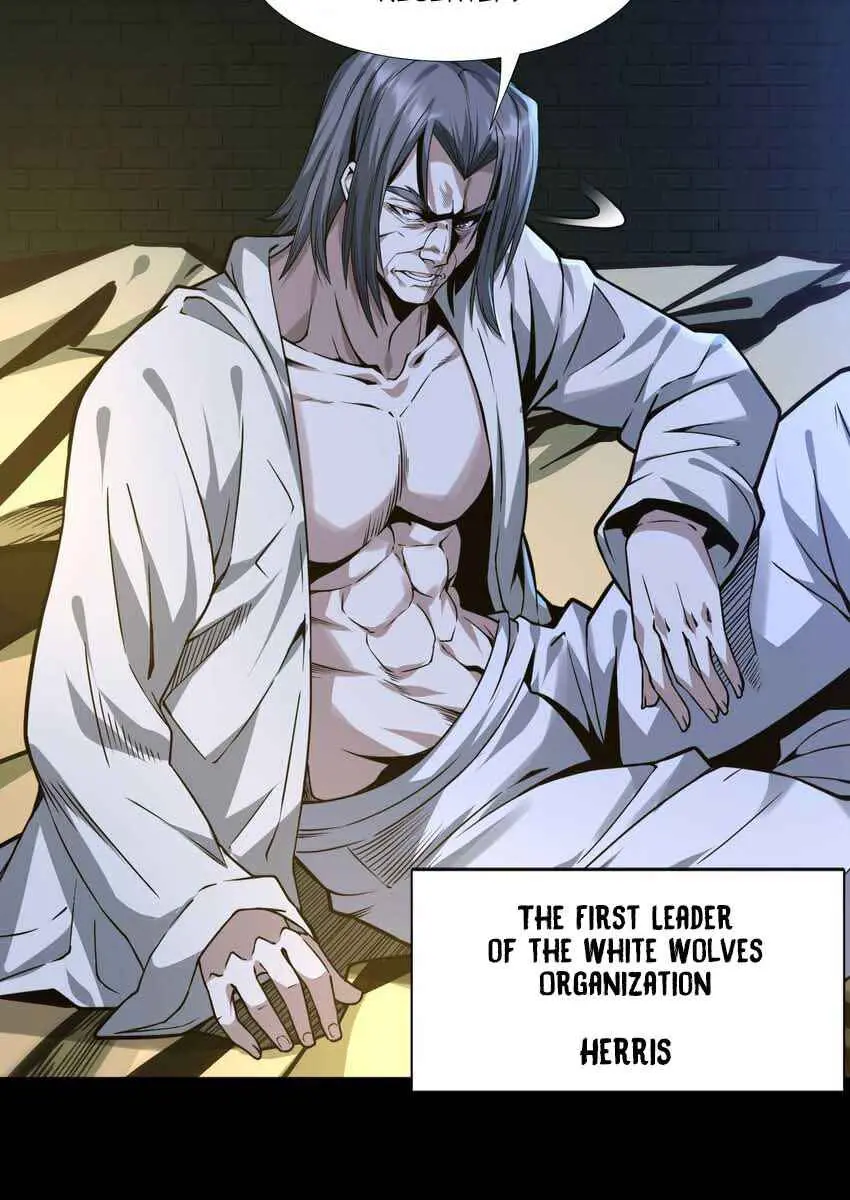 I'm Really Not the Demon God's Lackey Chapter 45 Page 21