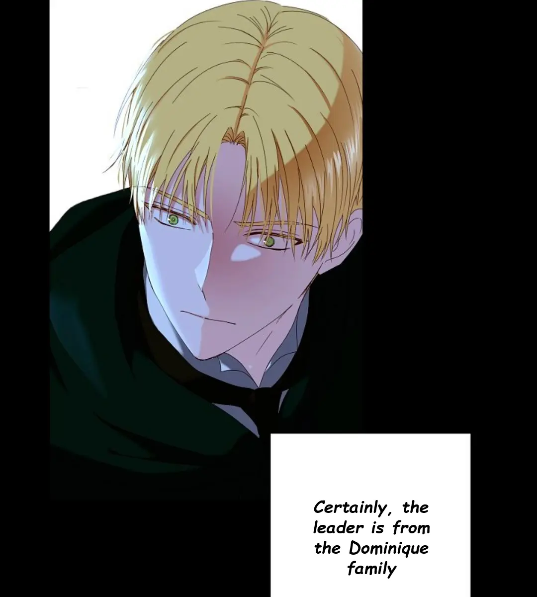I Fell into a Reverse Harem Game Chapter 49 Page 22