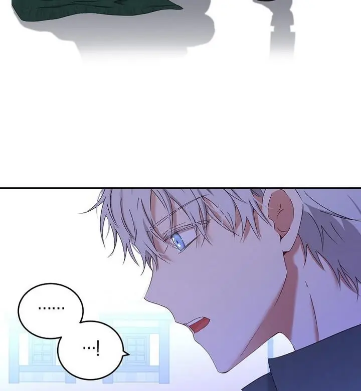 I Fell into a Reverse Harem Game Chapter 54 Page 44