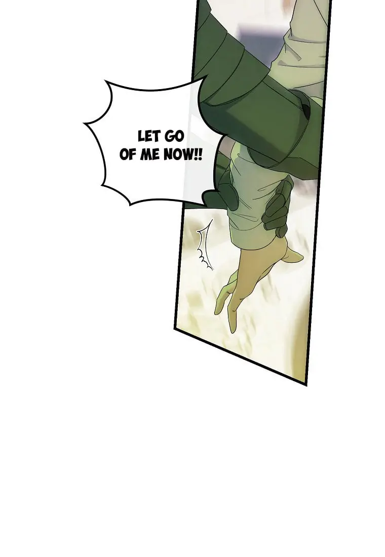 I Fell into a Reverse Harem Game Chapter 57 Page 66