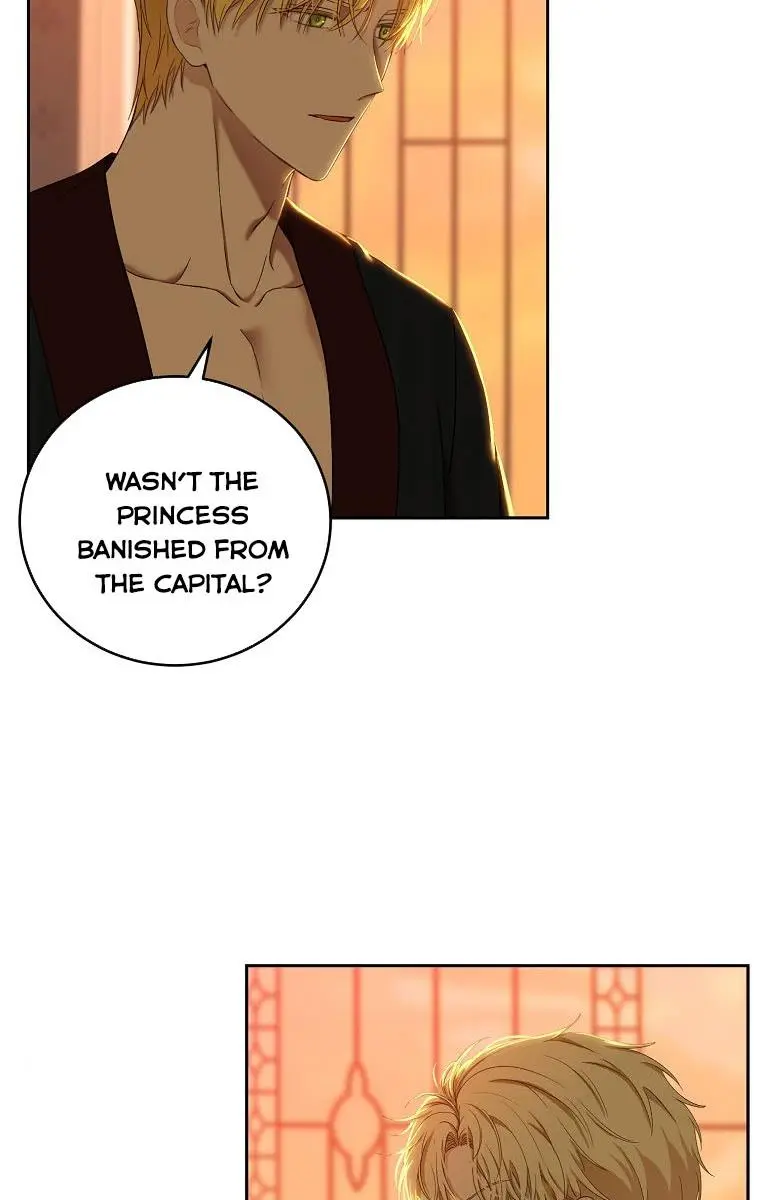 I Fell into a Reverse Harem Game Chapter 59 Page 8