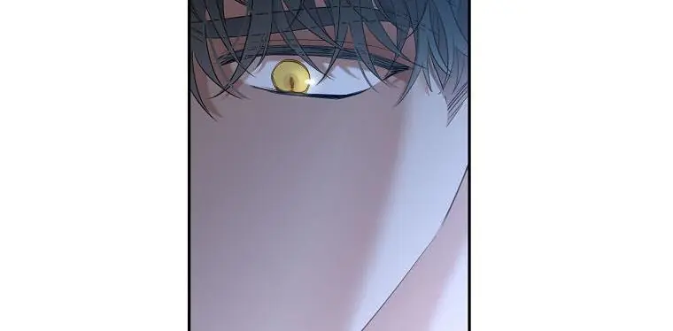 I Fell into a Reverse Harem Game Chapter 60 Page 142