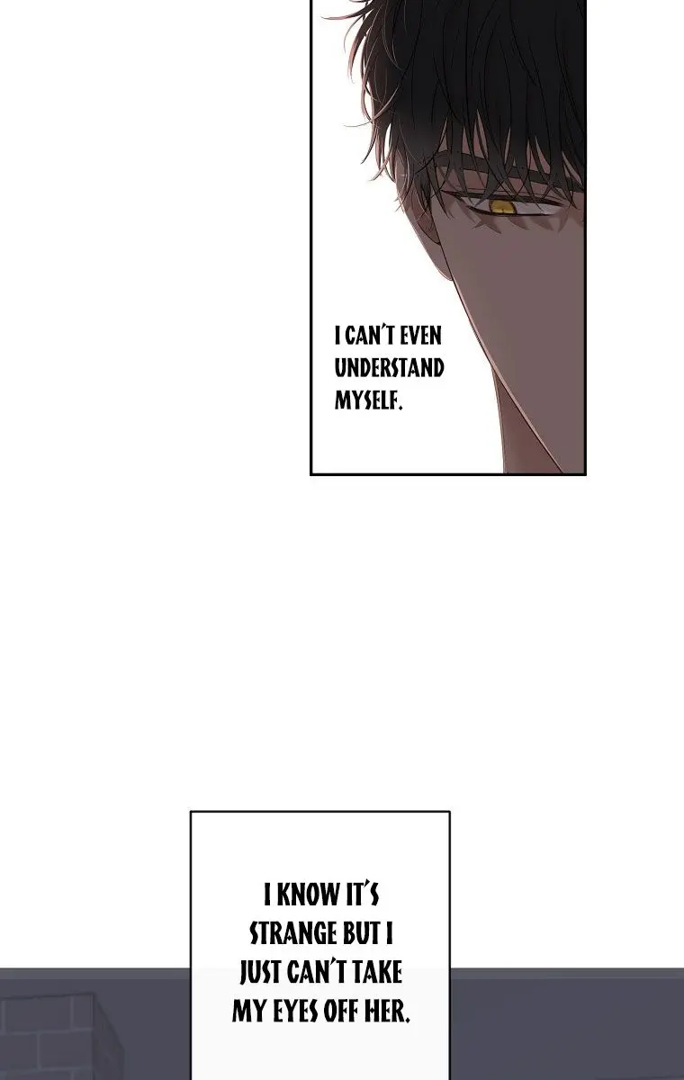 I Fell into a Reverse Harem Game Chapter 62 Page 52