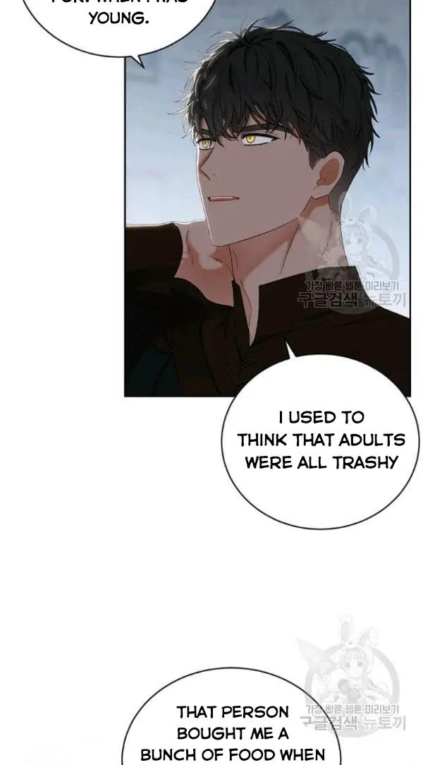 I Fell into a Reverse Harem Game Chapter 66 Page 45