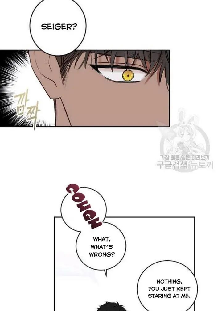 I Fell into a Reverse Harem Game Chapter 71 Page 34