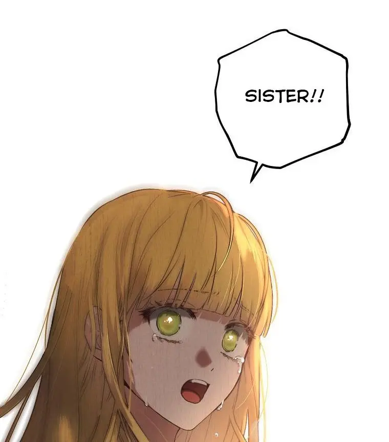 I Fell into a Reverse Harem Game Chapter 75 Page 11