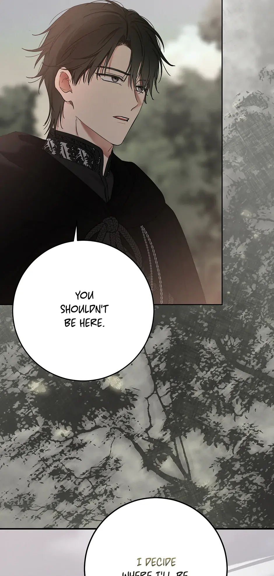I Fell into a Reverse Harem Game Chapter 153 Page 33