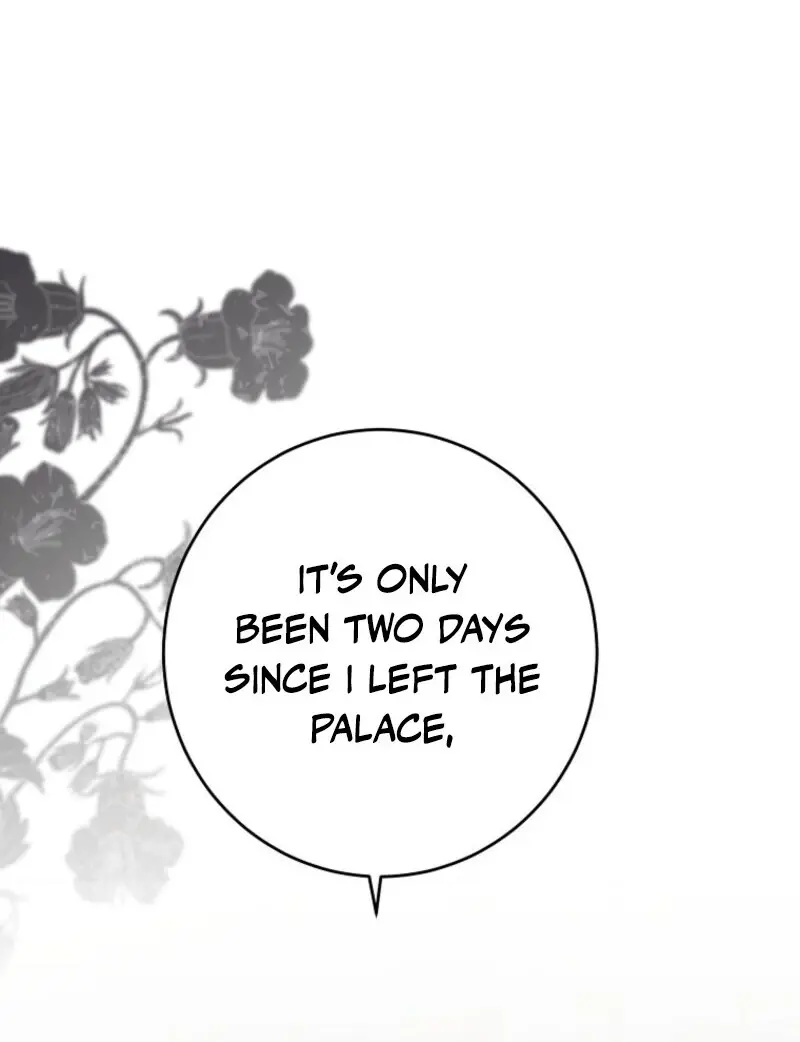 I Fell into a Reverse Harem Game Chapter 156 Page 34