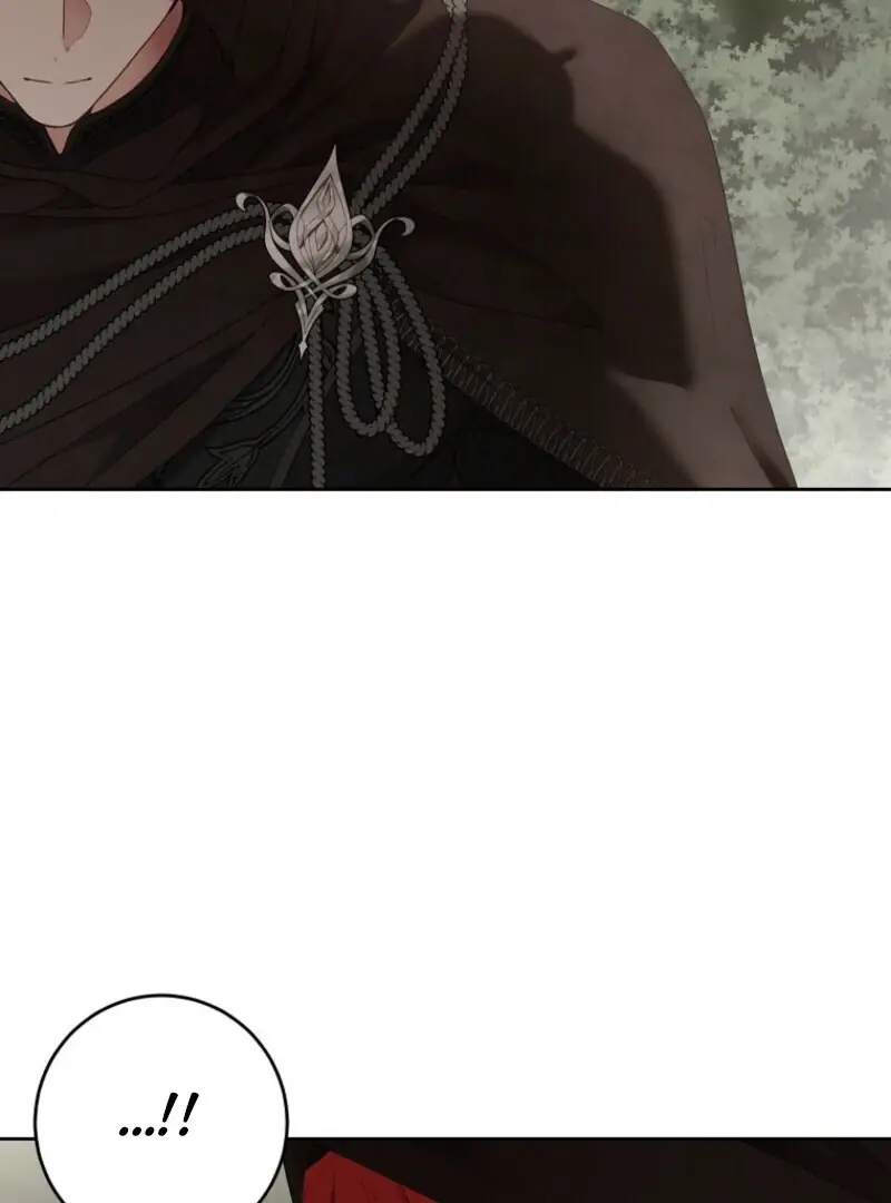 I Fell into a Reverse Harem Game Chapter 156 Page 82