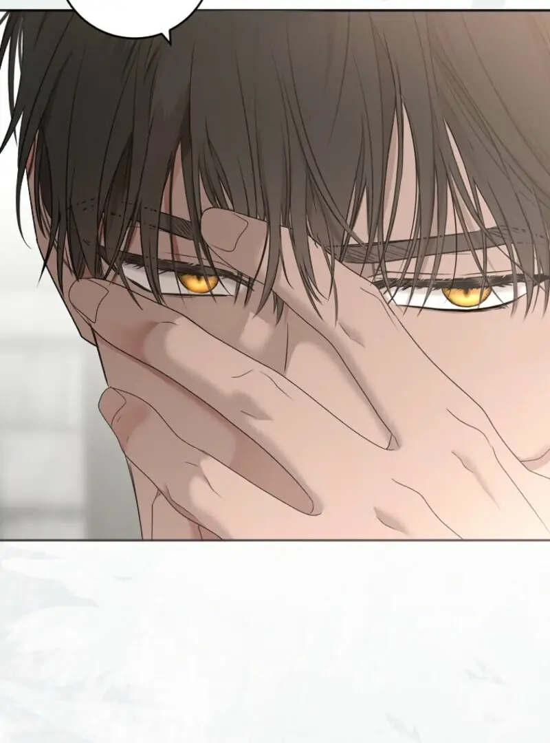I Fell into a Reverse Harem Game Chapter 157 Page 133