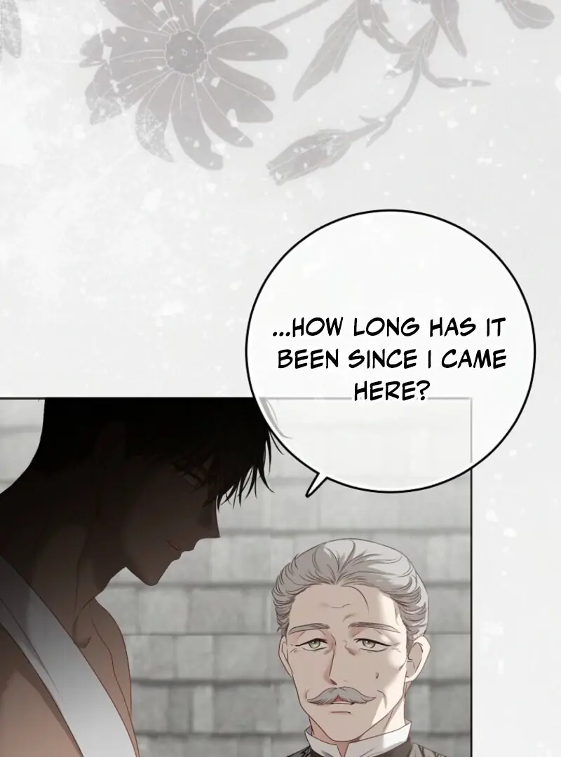 I Fell into a Reverse Harem Game Chapter 157 Page 142