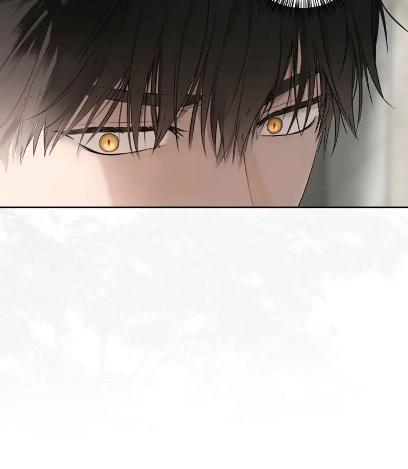 I Fell into a Reverse Harem Game Chapter 159 Page 47
