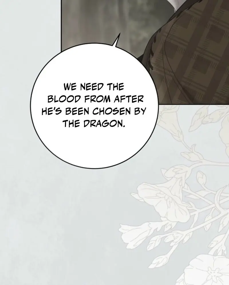 I Fell into a Reverse Harem Game Chapter 162 Page 56