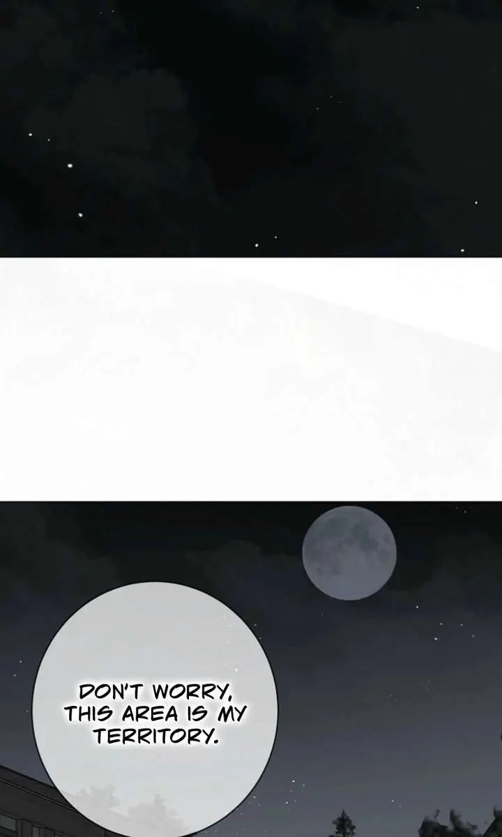 I Fell into a Reverse Harem Game Chapter 165 Page 64