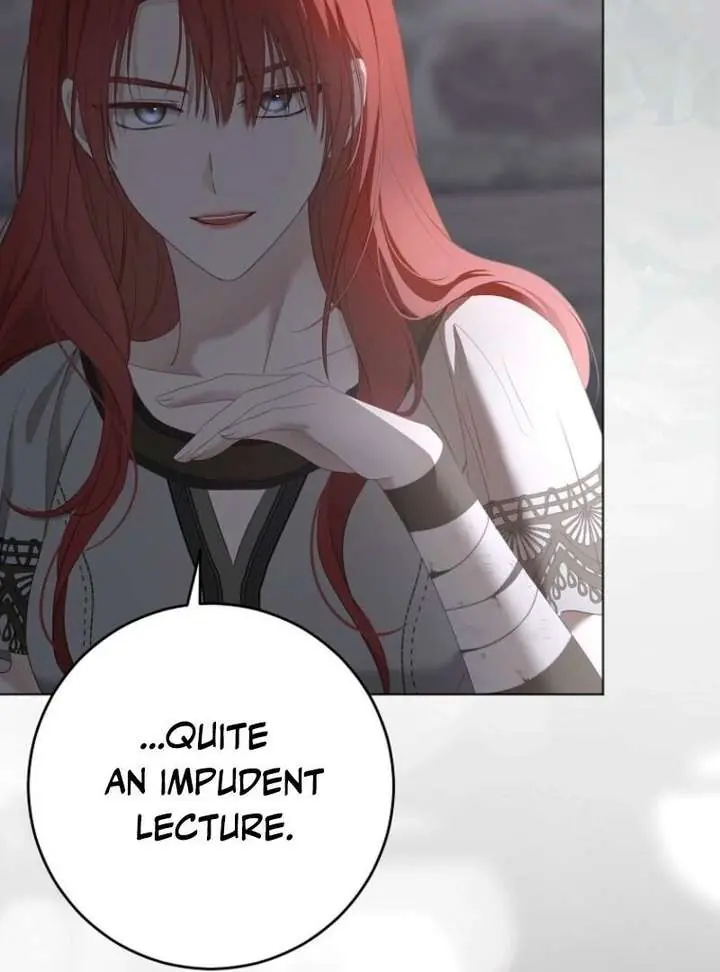 I Fell into a Reverse Harem Game Chapter 166 Page 47