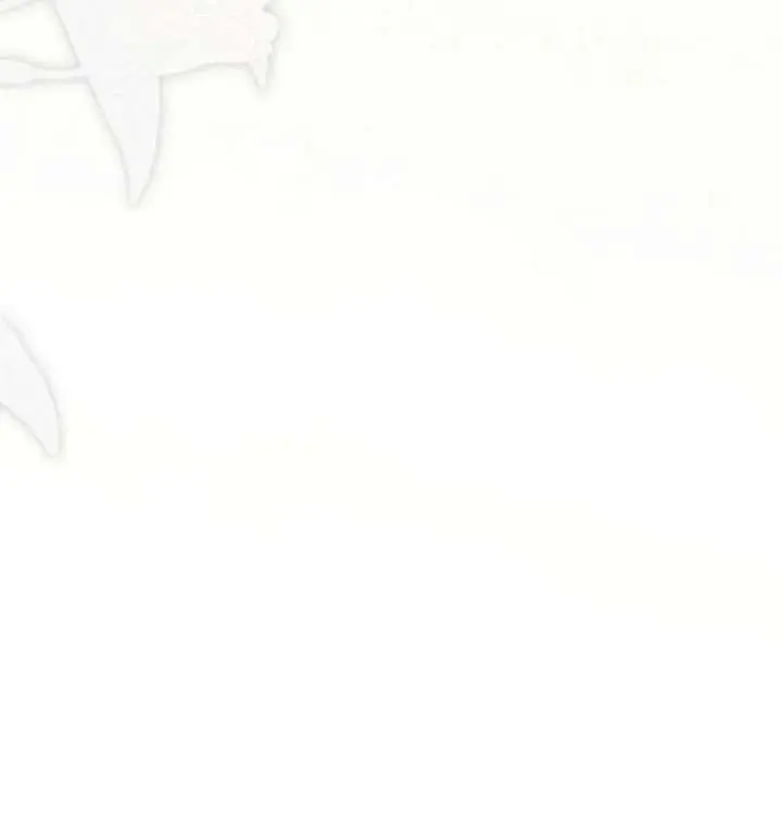I Fell into a Reverse Harem Game Chapter 167 Page 13