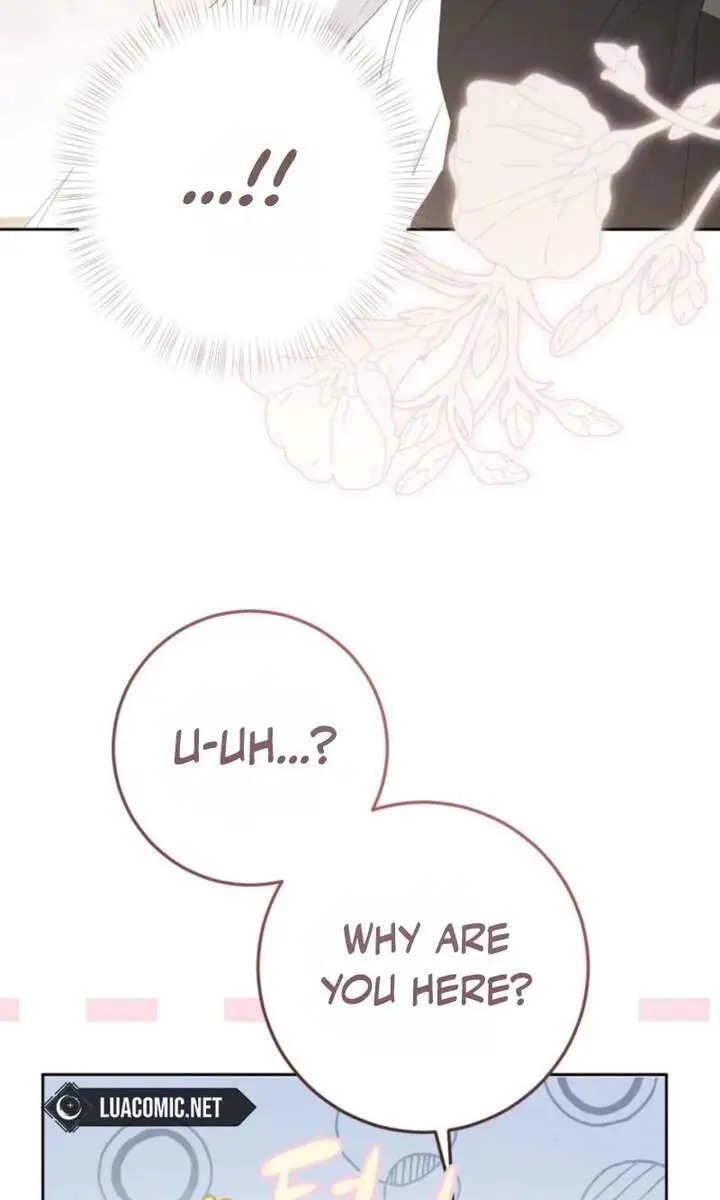 I Fell into a Reverse Harem Game Chapter 172 Page 7