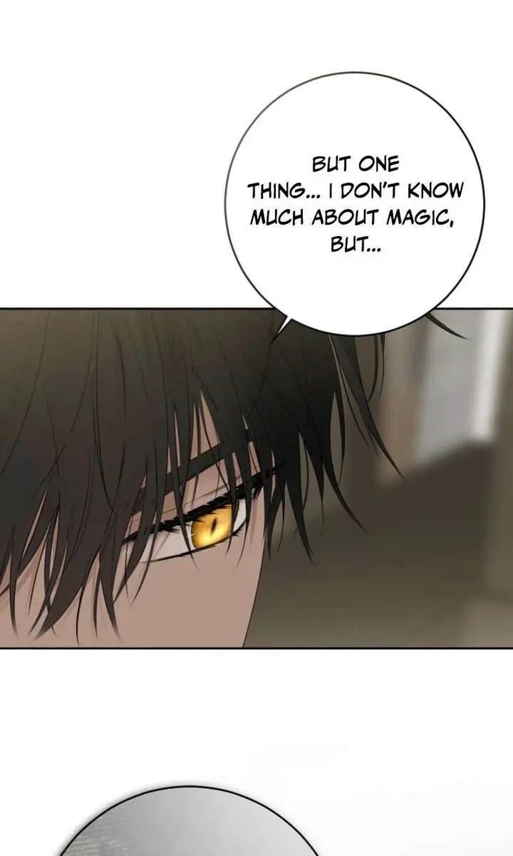 I Fell into a Reverse Harem Game Chapter 173 Page 11