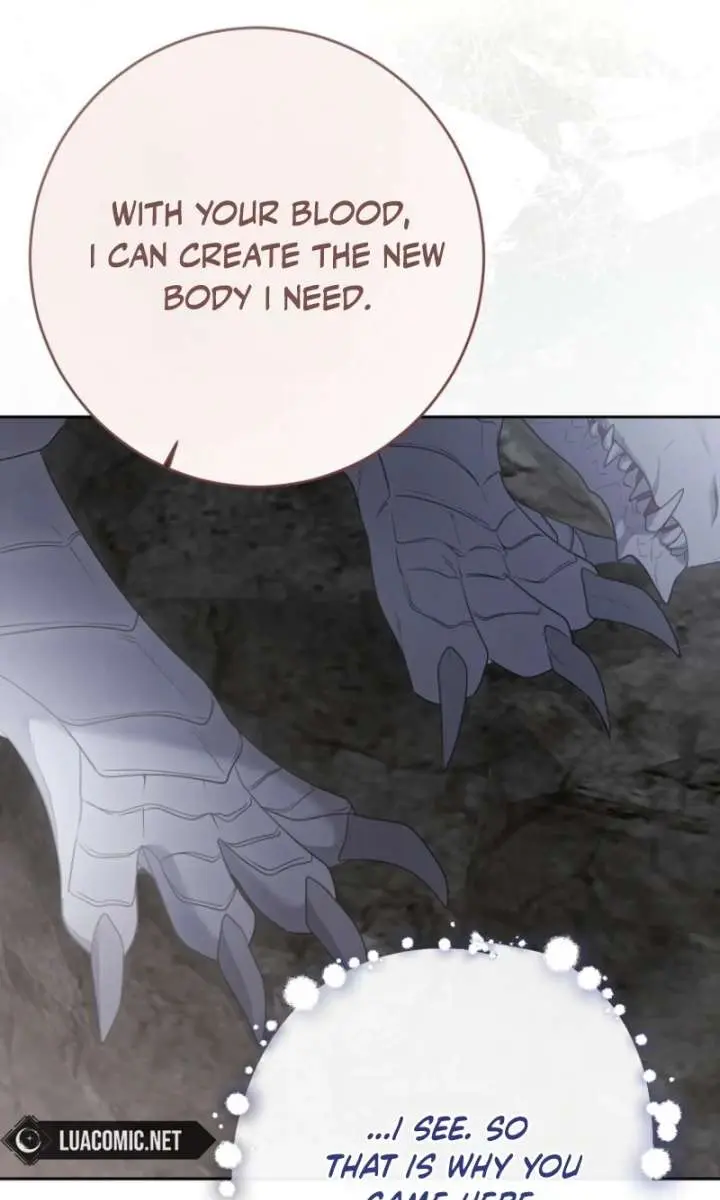 I Fell into a Reverse Harem Game Chapter 177 Page 17