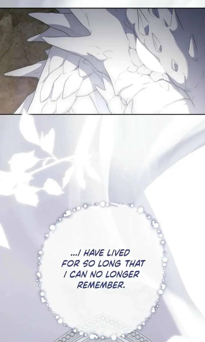 I Fell into a Reverse Harem Game Chapter 177 Page 26