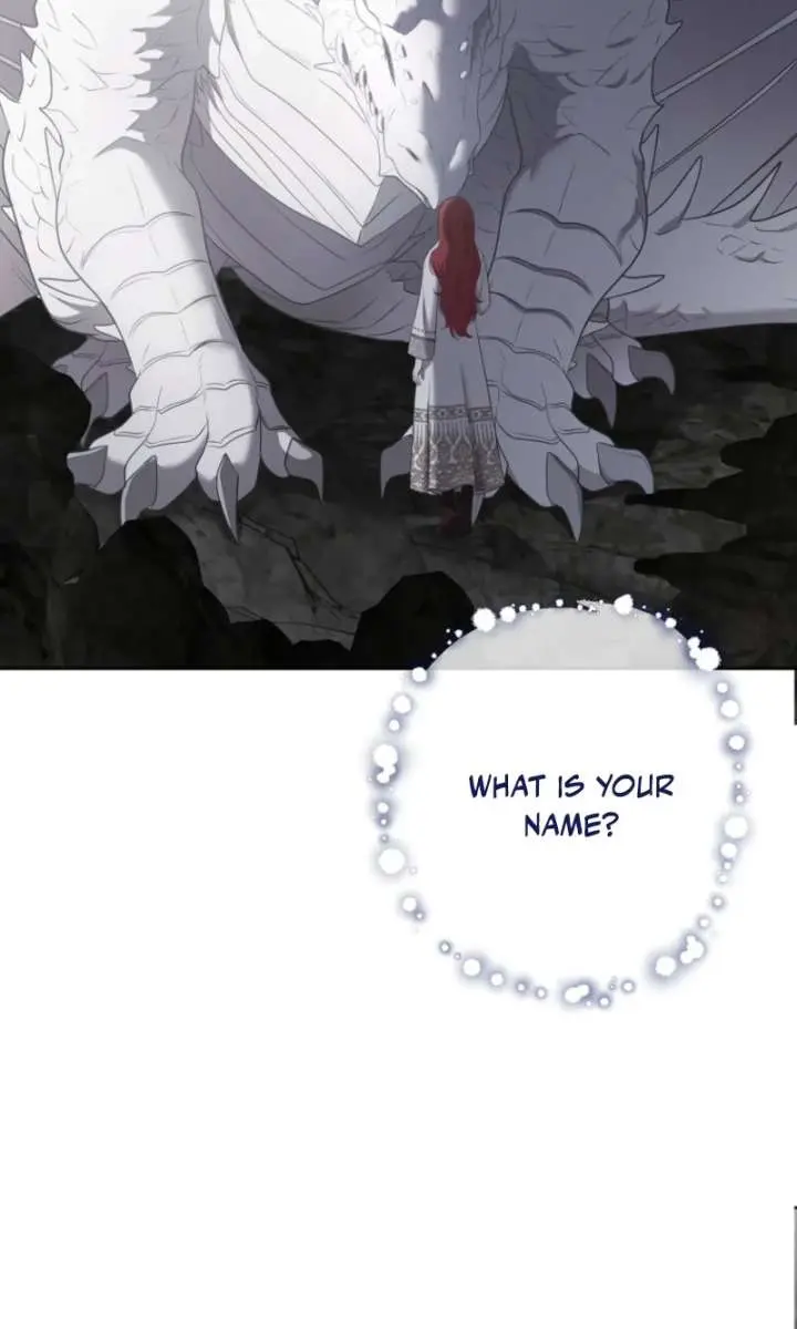 I Fell into a Reverse Harem Game Chapter 177 Page 45
