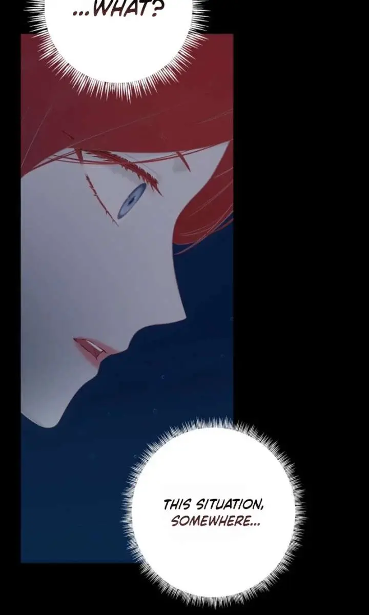 I Fell into a Reverse Harem Game Chapter 177 Page 65